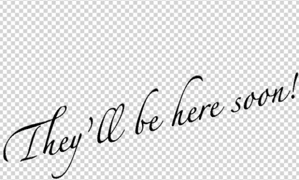Chief Barketing Officer - Calligraphy