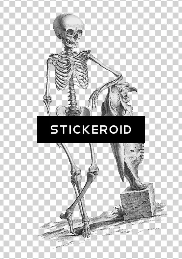 Halloween Skeleton - Giclee Painting: Science Source's Osteographia, 1733,