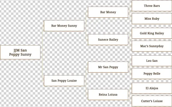 Jjm San Peppy Sunny - Genealogy