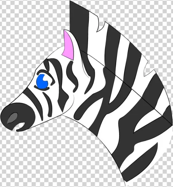 Line Zebra Color - Illustration