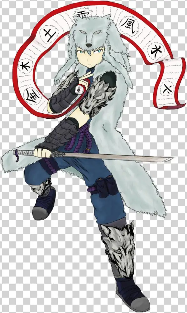 Ninja Of Legendary Scroll - Cartoon