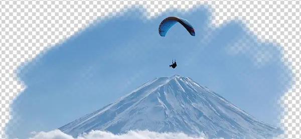 Shibazakura - Moss Phlox