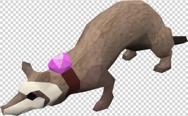 This Reminds Of Me That Annoying Ass Dungeoneering - Runescape Ferret