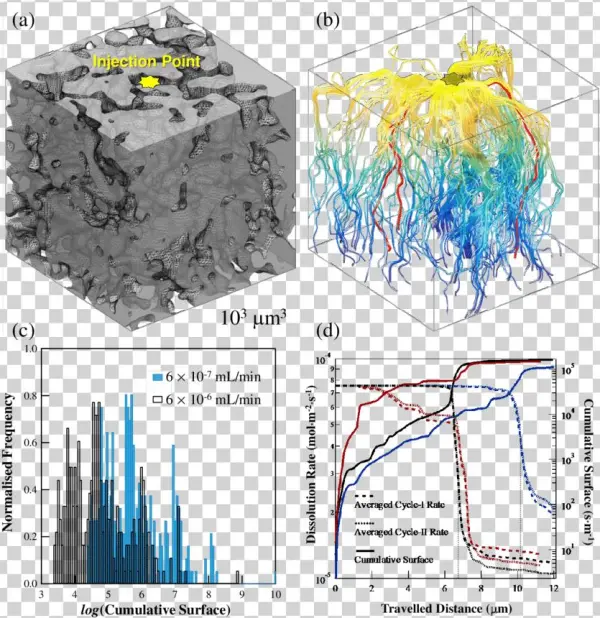 A Digital Model Of Natural Chalk Microstructure Obtained - Nanotomography