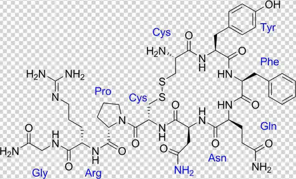 Adh Deficiency Symptoms - Oxytocin Syntocinon
