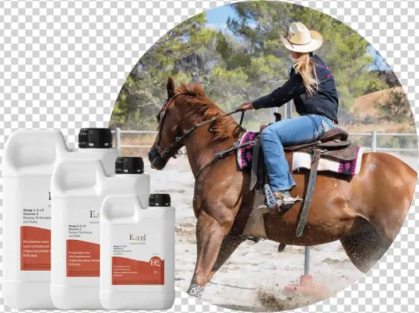 Excel Eq - Equestrianism