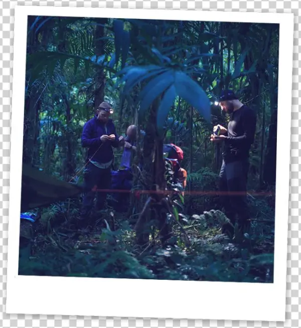 Jungle Camplife - Breakfast