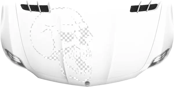 Autofolie Für Die Motorhaube Mit Totenkopf - Blumenranke Motorhaube