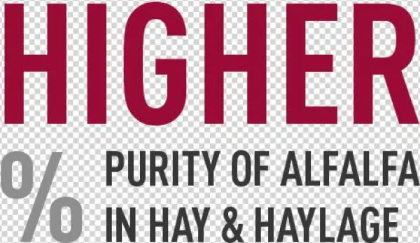 Broadest Application Flexibility - Matthew 25 Ministries Hunger 5k