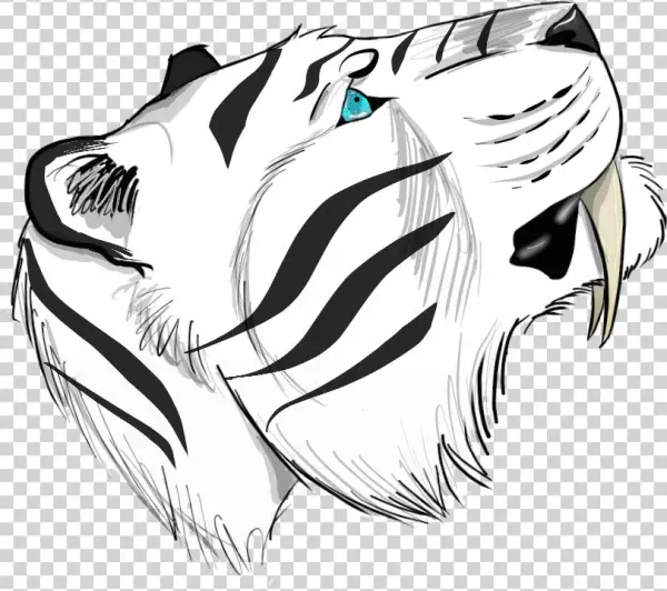 Details - Sketch