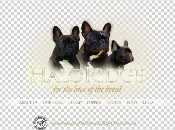 Haloridge French Bulldogs