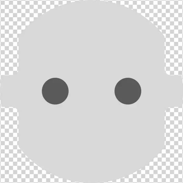 Plug Type F