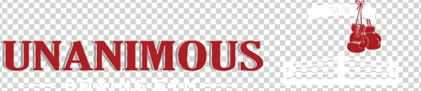 Unanimous Boxing Gym - Gym