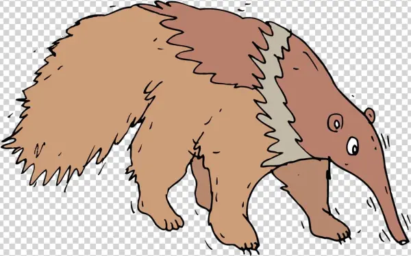 Anteater