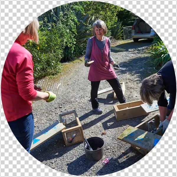 Circles For Predator Free Action3