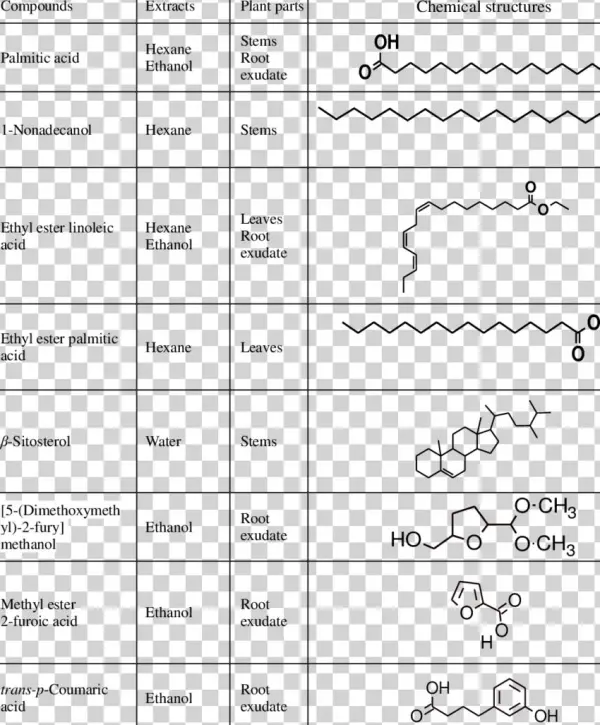 Compounds Detected From Different Parts Of Sweet Potato - Potato