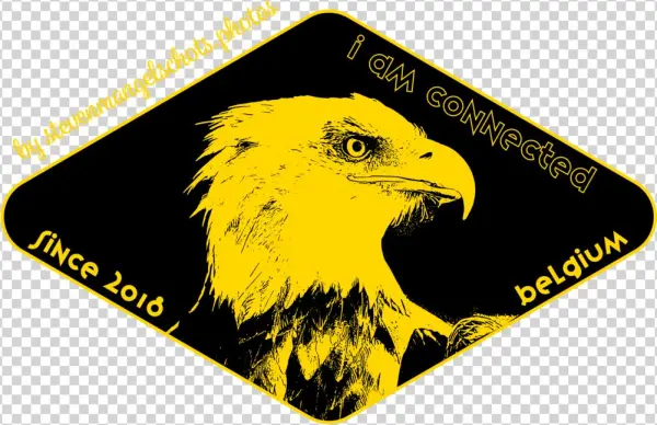Eagel I Am Connected