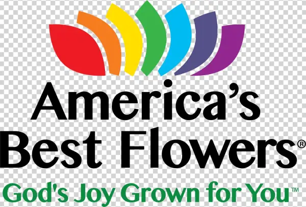 Flowers Top View Png