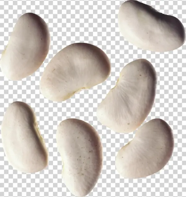 Kidney Beans Png, Download Png Image With Transparent