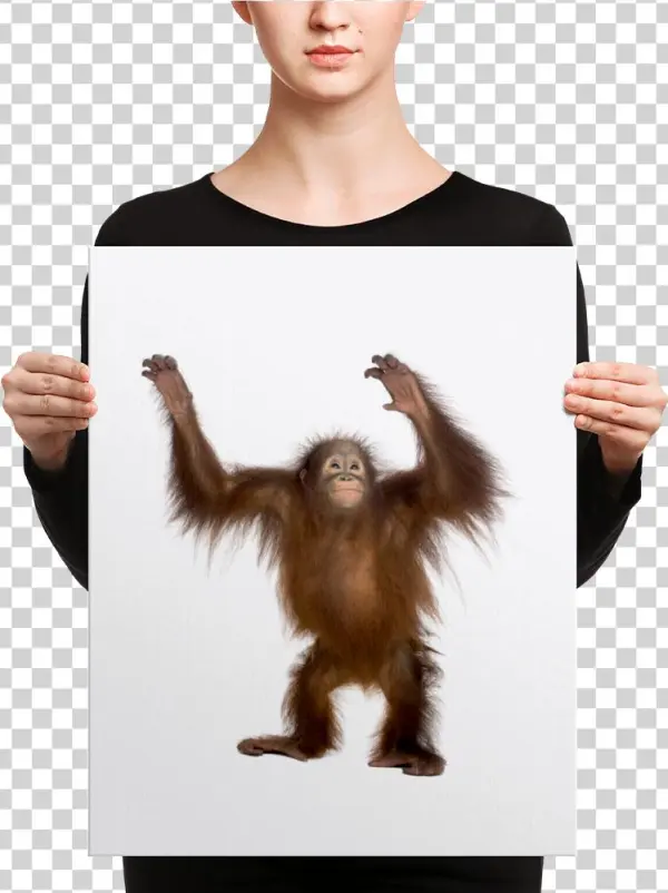 Orang Utan Print Men S V Neck