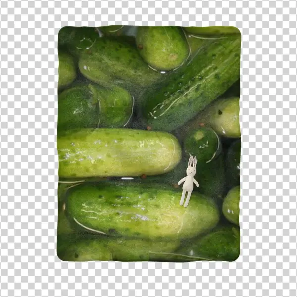 Pickles Sublimation Baby Blanket