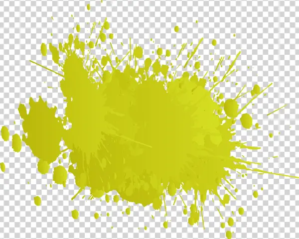 What The Color Of