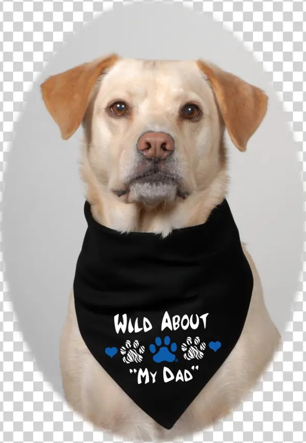 Big Boy Blue Paw/hearts