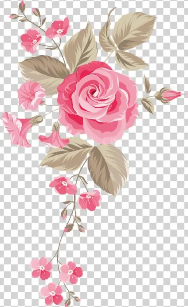 Free Floral Png