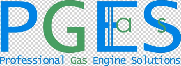 Gas Engines Professional Gas Engine Solutions Gmbh
