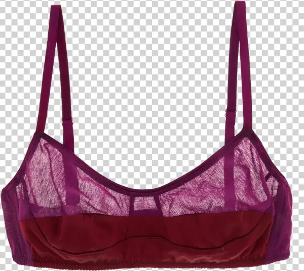 Hanging Bra Png