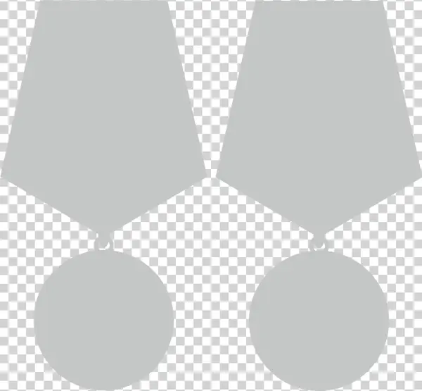 Medal "veteran Of Labor" N/a