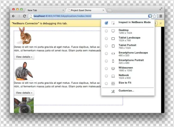 Responsive Web Design Capability