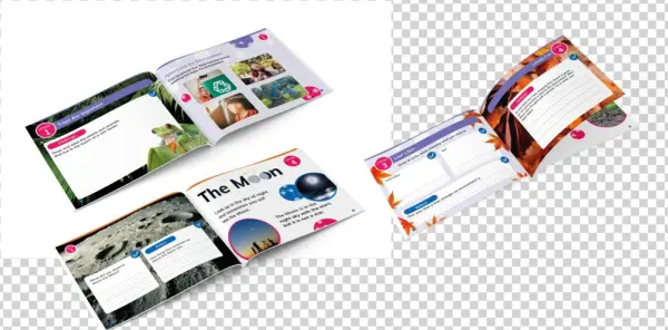 Twig Book Lg
