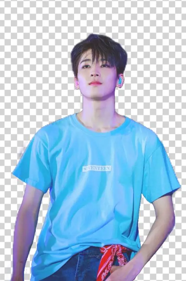 Wonwoo Png