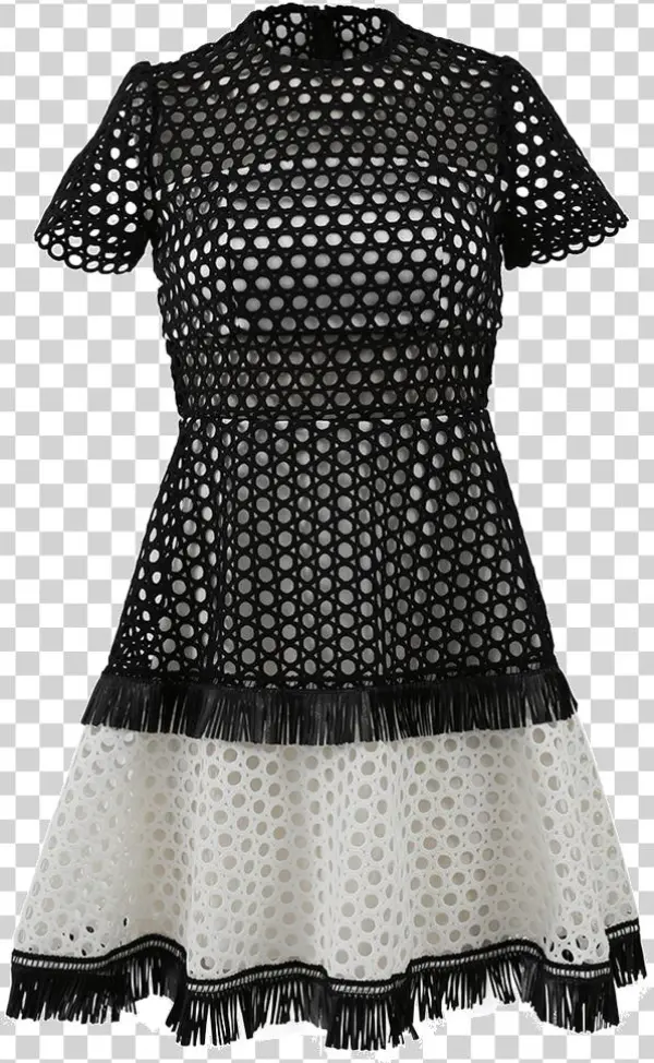 Alexis Cynthia Circle Embroidered Dress