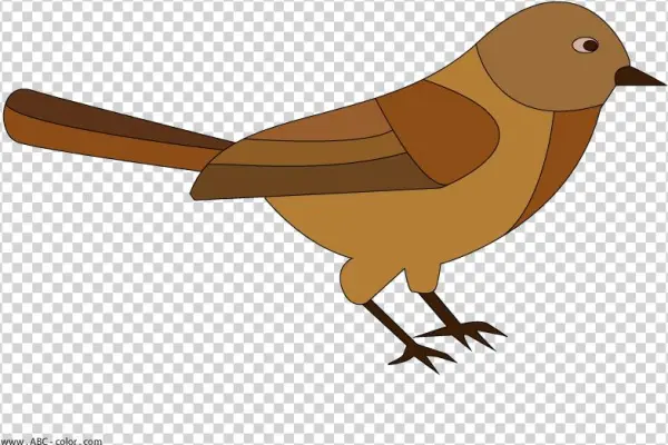 Birdie Raster Picturet