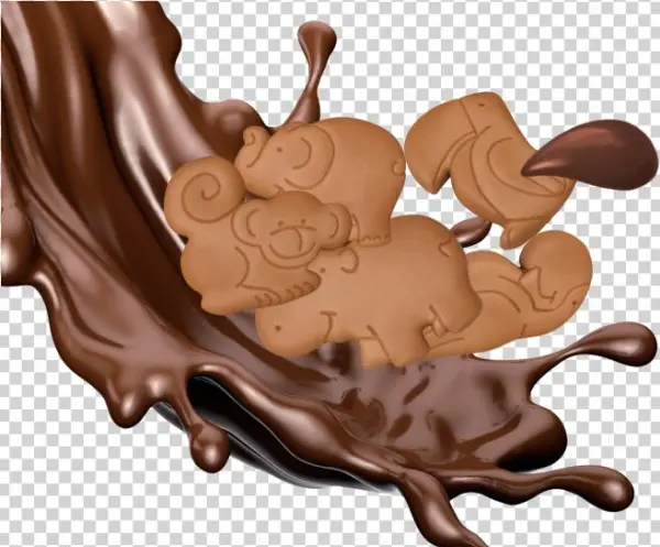 Chocolate Cookie Bag
