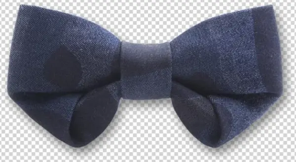 Folding In Blue Bow Tie