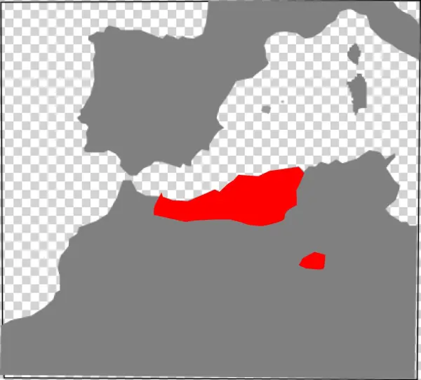 Macroprotodon Abubakeri Range Map