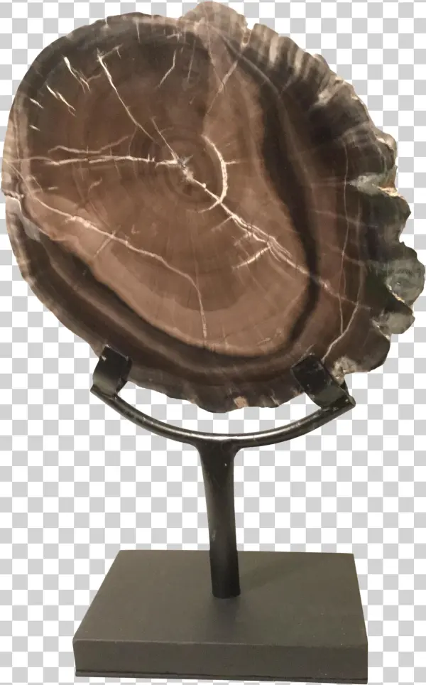 Petrified Wood Slice On Stand On Chairish