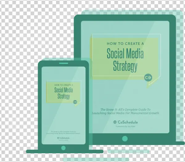Social Media Strategy Book