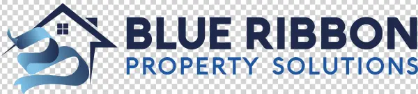 Blue Ribbon Transparent