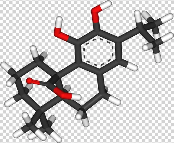 Carnosic Acid 3d Sticks