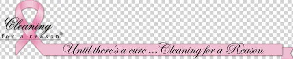 Cleaning For A Reason Non Profit Free House Cleaning