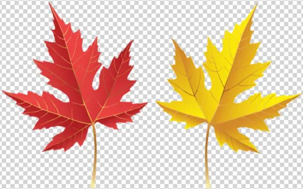 Free Png Fall Leves Png Images Transparent