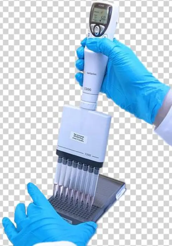 Organ On A Chip Workshop