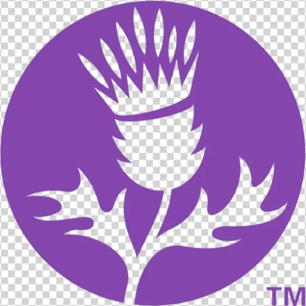 Thistle Png