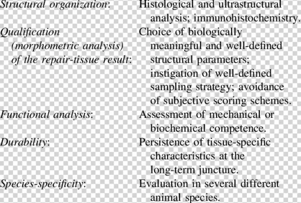 Characterization Of The Repair Tissue
