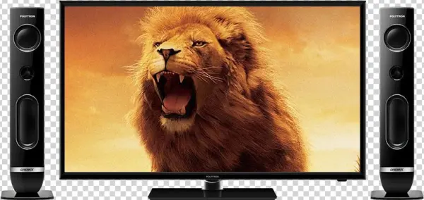 Cinemax Pro 40