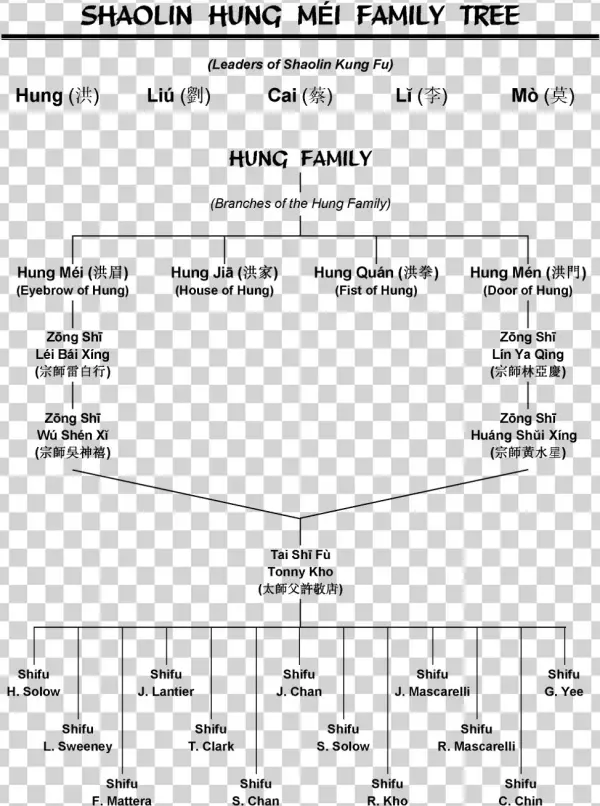 History Of Shaolin Hung Mei Kung Fu